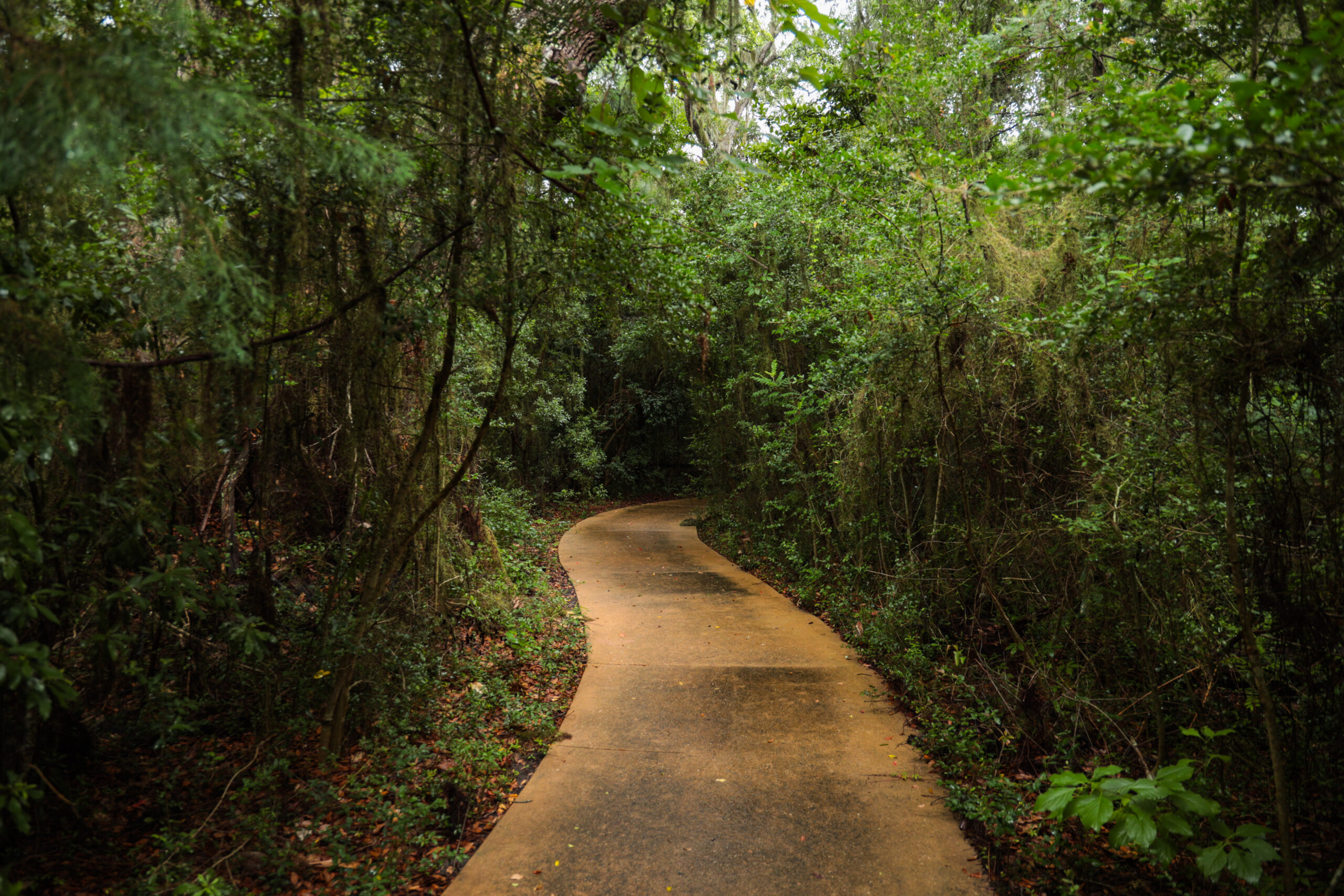 land-trust-closes-on-10-acre-property-st-simons-land-trust